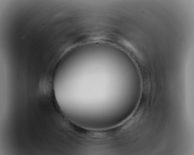 X0000094931361200712061120