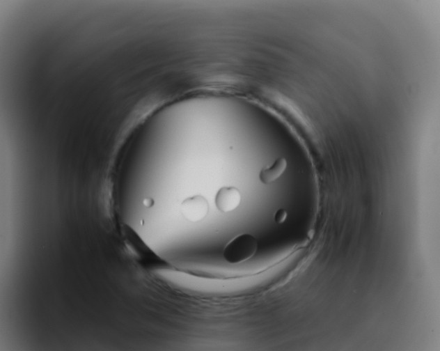 X0000094931362200712061120