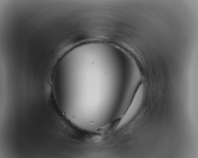 X0000094931363200712061120