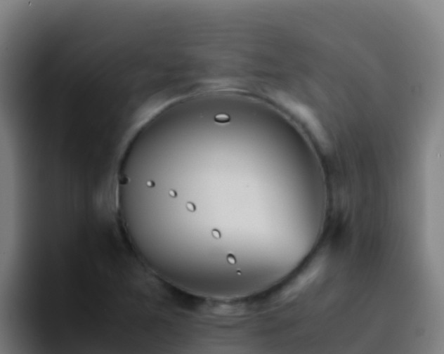 X0000094931365200712061120