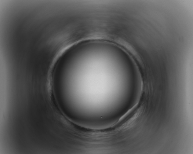 X0000094931366200712061120