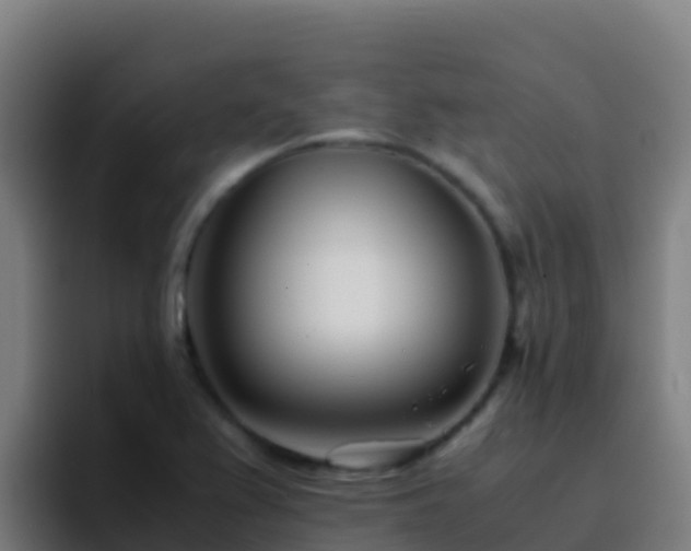 X0000094931367200712061120
