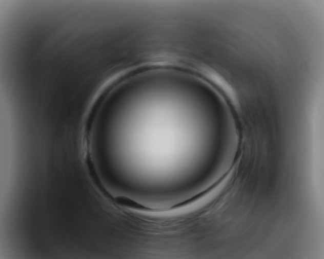 X0000094931368200712061120