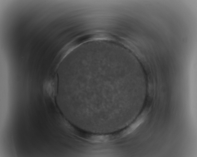 X0000094931369200712061120