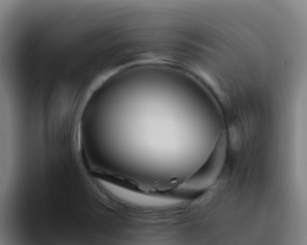 X0000094931371200712061120