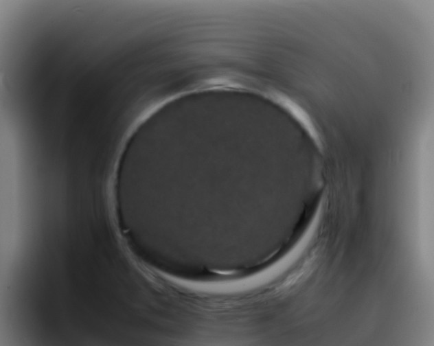 X0000094931373200712061120