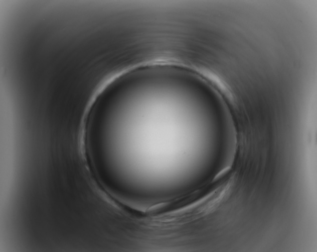X0000094931374200712061120