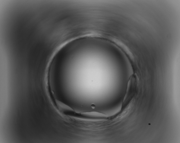 X0000094931375200712061120