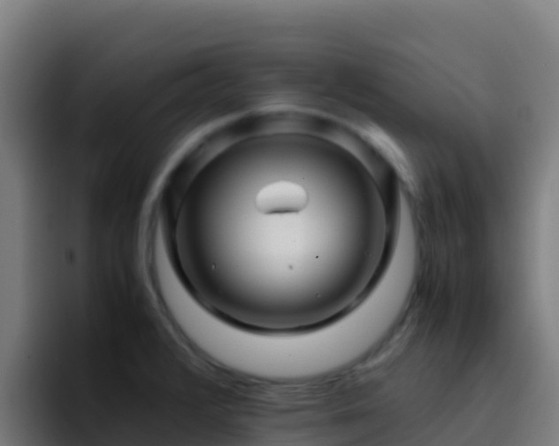 X0000094931376200712061120
