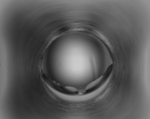 X0000094931377200712061120