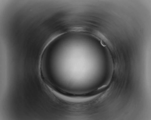 X0000094931378200712061120