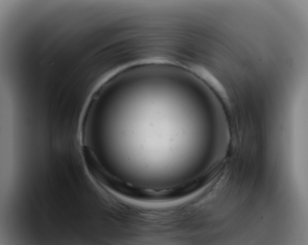 X0000094931380200712061120
