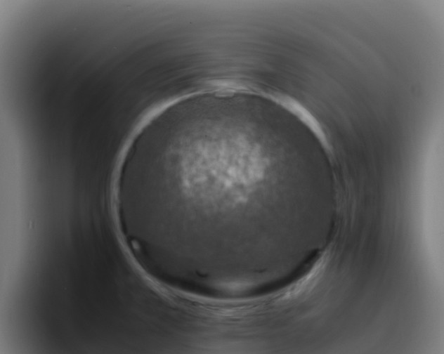X0000094931381200712061120