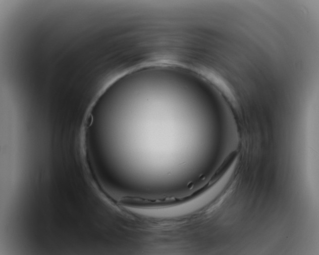 X0000094931382200712061120
