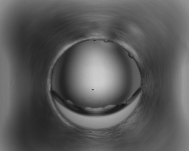 X0000094931383200712061120