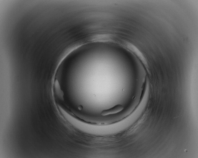 X0000094931386200712061120