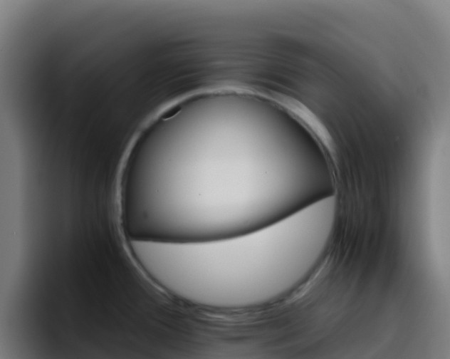 X0000094931388200712061120