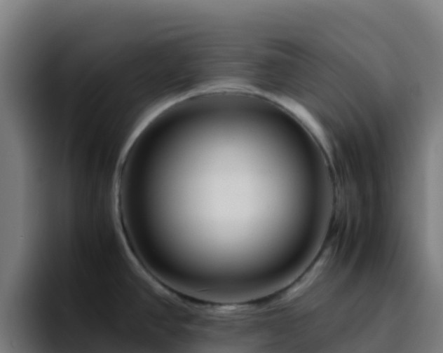 X0000094931390200712061120