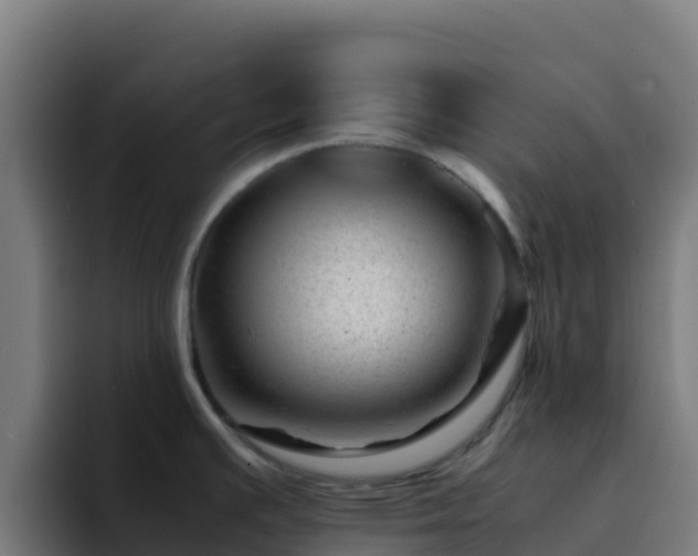 X0000094931391200712061120