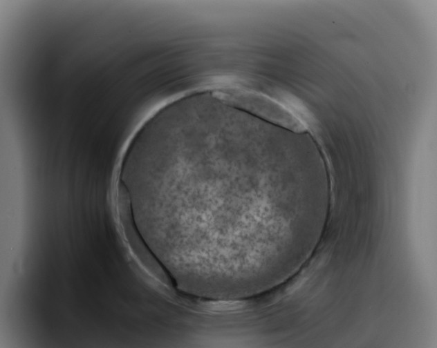 X0000094931392200712061120