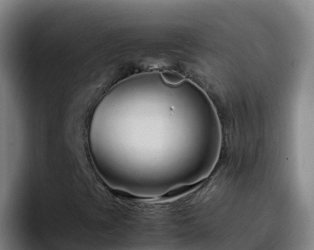 X0000094931393200712061119