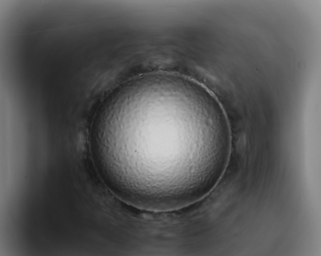 X0000094931397200712061119