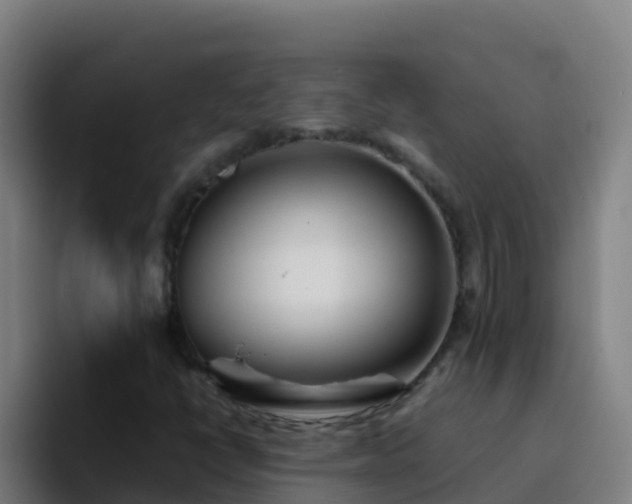 X0000094931398200712061119