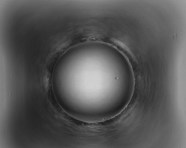 X0000094931399200712061120