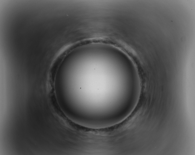 X0000094931400200712061120