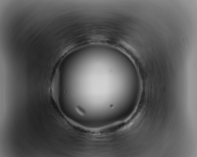 X0000094931401200712061120