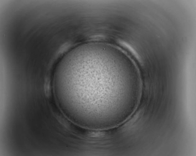 X0000094931403200712061120