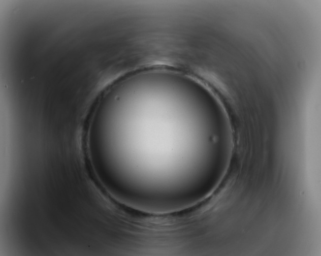 X0000094931404200712061120