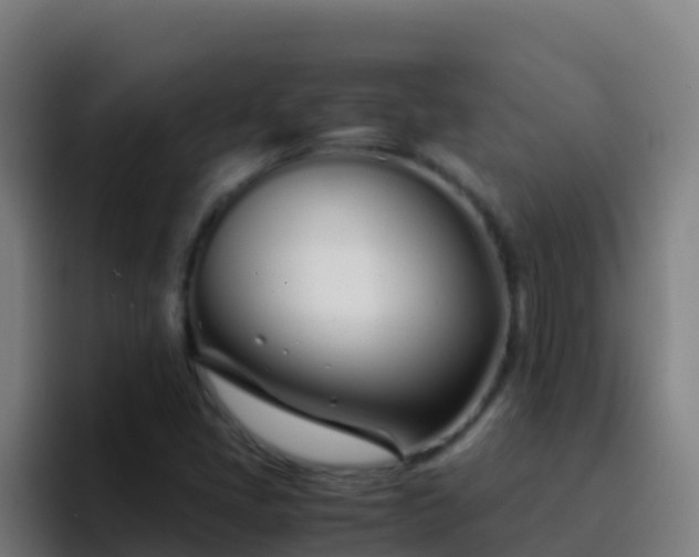 X0000094931405200712061120