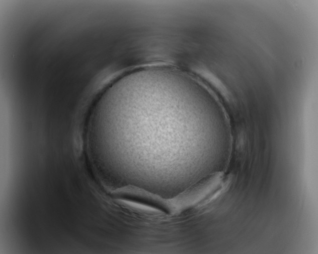 X0000094931407200712061120