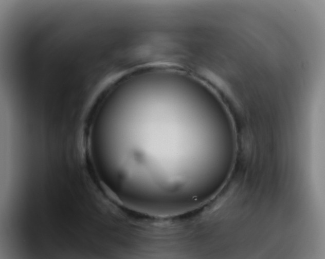 X0000094931408200712061120