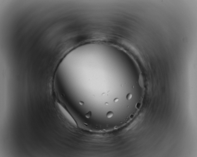 X0000094931409200712061120