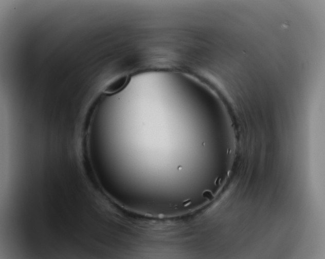 X0000094931410200712061120