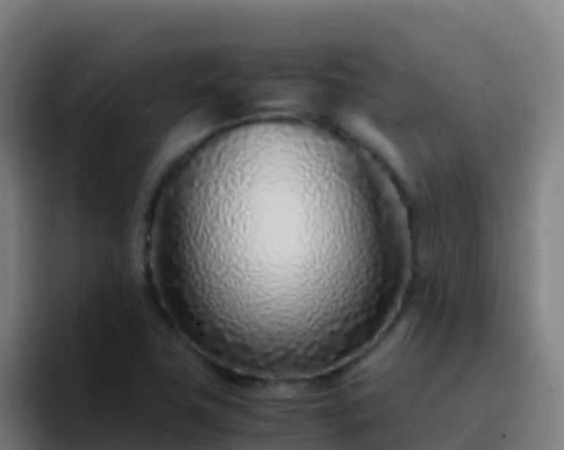 X0000094931411200712061120