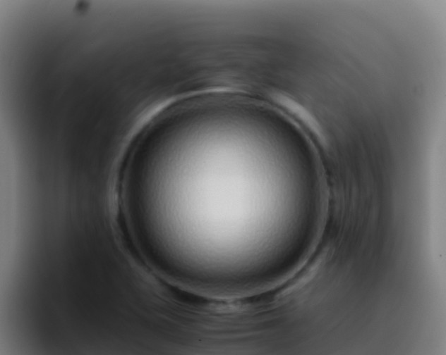 X0000094931415200712061120
