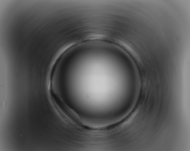 X0000094931418200712061120