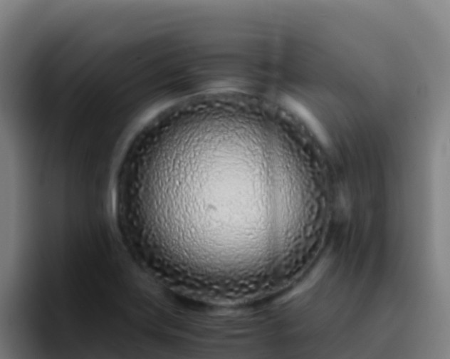 X0000094931419200712061120