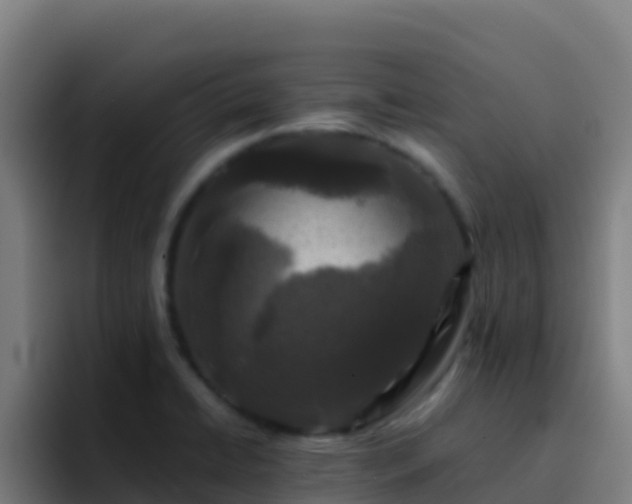 X0000094931422200712061120