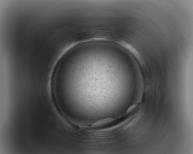 X0000094931423200712061120