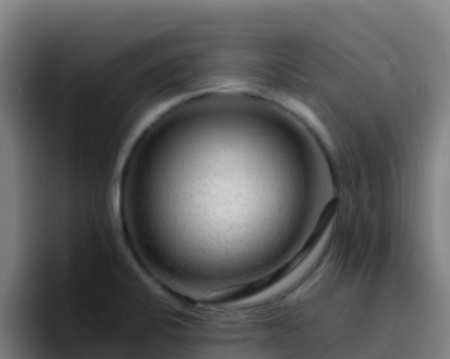 X0000094931424200712061120