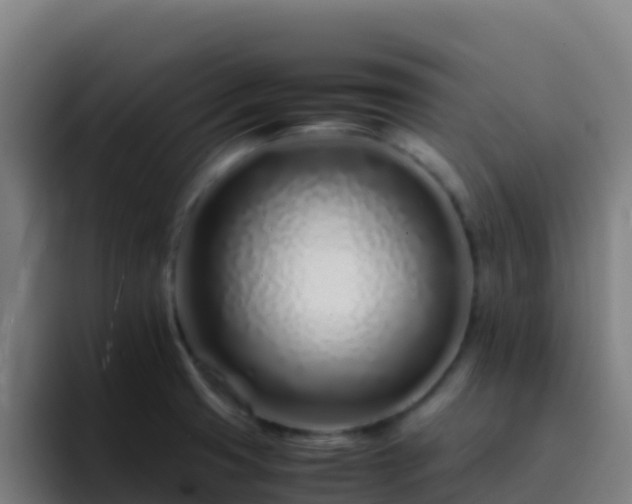 X0000094931425200712061120