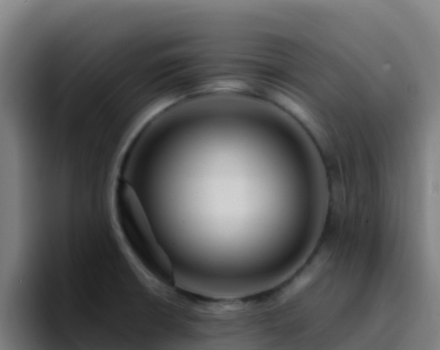 X0000094931426200712061120