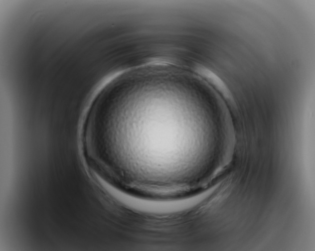 X0000094931427200712061120