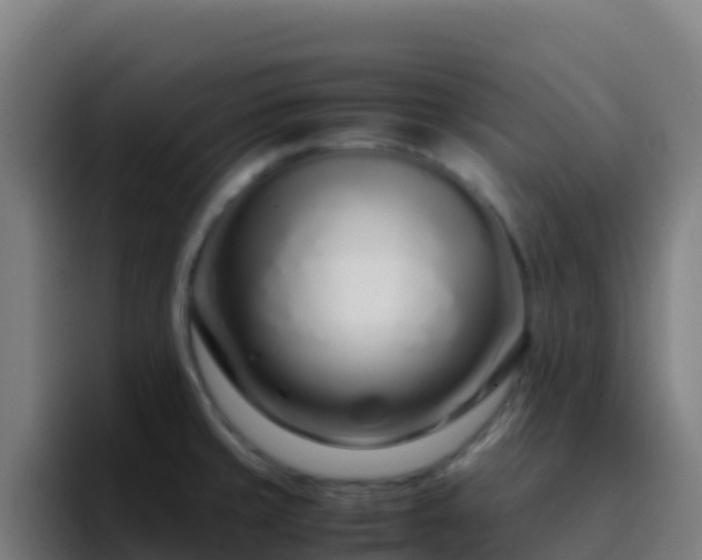 X0000094931429200712061120
