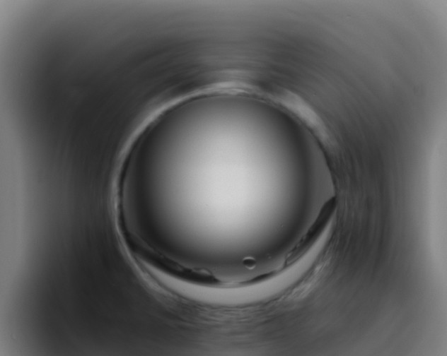 X0000094931430200712061120