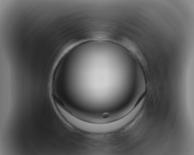 X0000094931432200712061120